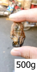 HÀU KHÔ (SIZE ĐẠI) 100G - 250G - 500G - HÀU TƯƠI SẤY KHÔ - DRY OYSTERS