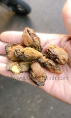 HÀU KHÔ (SIZE ĐẠI) 1KG - HÀU TƯƠI SẤY KHÔ - DRY OYSTERS