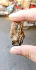 HÀU KHÔ (SIZE ĐẠI) 1KG - HÀU TƯƠI SẤY KHÔ - DRY OYSTERS