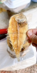 KHÔ CÁ DẢNH (CÁ VẢNH - CÁ NGỘ) - LOẠI TRẮNG THƯỢNG HẠNG - GÓI 500G - 1KG