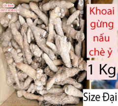 KHOAI GỪNG NẤU CHÈ Ỷ 1KG – CỦ KHOAI GỪNG SIZE TIỂU, TRUNG, ĐẠI – GINGER POTATO
