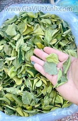 LÁ CHANH THÁI SẤY KHÔ 1KG - LÁ CHÚC SẤY KHÔ - DRIED KAFFIR LEAVES (NGUYÊN LÁ)