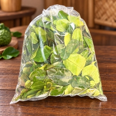 LÁ CHANH THÁI TƯƠI (500G - 1KG) - LÁ CHÚC TƯƠI - KAFFIR LIME LEAVES (NGUYÊN LÁ)