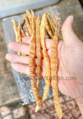 [MÃ X] SÁ SÙNG KHÔ 1KG - DRIED PEANUT WORM - NẤU PHỞ, CHÁO SIÊU NGỌT