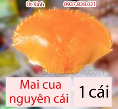 MAI CUA NGUYÊN CÁI 1 CÁI - CARAPACE - VỎ CUA