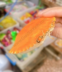 MAI CUA NGUYÊN CÁI 1 CÁI - CARAPACE - VỎ CUA