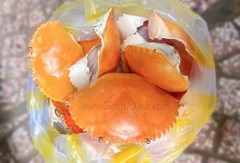 MAI CUA NGUYÊN CÁI 1 CÁI - CARAPACE - VỎ CUA