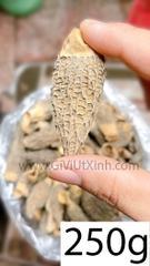 NẤM BỤNG DÊ (NẤM QUÝ) 100G- 250G- 500G - MOREL MUSHROOM