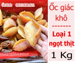 ỐC GIÁC KHÔ 1KG - INDIAN VOLUTE