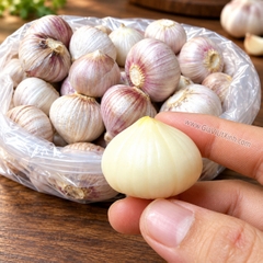 TỎI CÔ ĐƠN TRẮNG SIZE ĐẠI 1KG – TỎI 1 TÉP TƯƠI NGUYÊN CỦ LÀM TỎI ĐEN