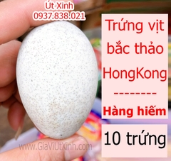 TRỨNG VỊT BẮC THẢO HONG KONG 10 TRỨNG - CENTURY EGG