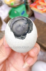 TRỨNG VỊT BẮC THẢO HONG KONG 10 TRỨNG - CENTURY EGG