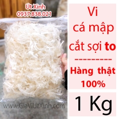 VI CÁ MẬP CẮT SỢI TO 1KG - SHARK FIN - VI SỢI