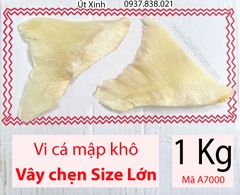 VI CÁ MẬP KHÔ (VÂY CHẸN SIZE LỚN) 500G – 1KG – MÃ A7000