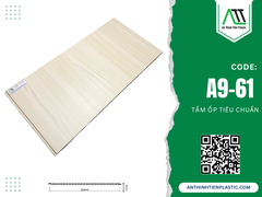 A9-61