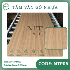 NTP-06