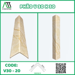 V30-20