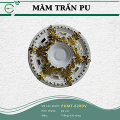 PUMT-820DV