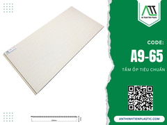 A9-65