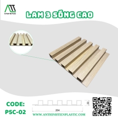 P5C-02