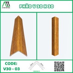V30-03