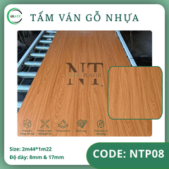 NTP-08