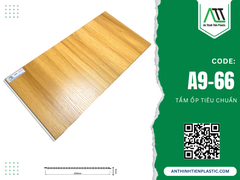 A9-66