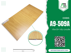 A9-509A