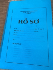 Bao hồ sơ 120 - A4 nhuộm - XD lớn có chữ (X/100c)