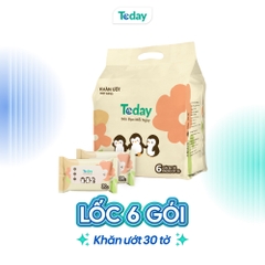 [Gói 30 Tờ] Khăn Ướt Mini TODAY