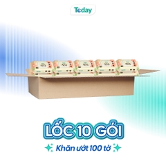 [Gói 100 Tờ] Khăn Ướt TODAY Cao Cấp