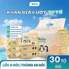 [Gói 30 Tờ] Khăn Ướt Mini TODAY