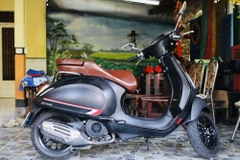 Yên Xe Tựa Lưng Cho Vespa – Màu Nâu Trơn _ VESPA-TL03-BROWN
