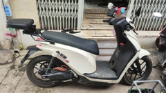 Tựa Lưng Cho Người Ngồi Sau Dat Bike Quantum (Chỉ tựa sau) _ DB-TS