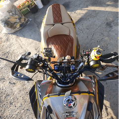 Yên Xe Tựa Lưng Cho Honda PCX - Màu Đặc Biệt _ PCX-TL03-GOLD