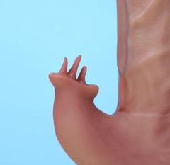 YEAIN Tarzan 3 Dildo Rung Thụt Tỏa Nhiệt Kết Hợp Điều Khiển Từ Xa