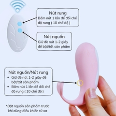 Trứng Rung Cá Voi Little Whale