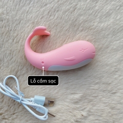 Trứng Rung Cá Voi Little Whale