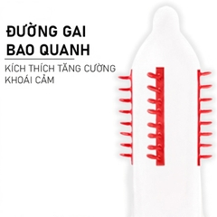 Bao Cao Su Beilile Pleasure More Rồng Xanh Gai Lớn Bao Quanh Hộp 2 Cái + Tặng 1 Cái Khác Loại