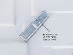 Dương Vật Giả Có Đế Lovetoy 9inch Hàng Khủng Rung Cực Mạnh