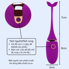 Trứng Rung Cá Heo Private