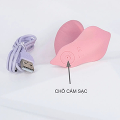 Máy Massage Quần Lót Butterfly Siêu Mềm Điều Khiển Từ Xa