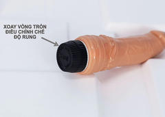 Dương Vật Giả Silicon Cong Shaki Sweet