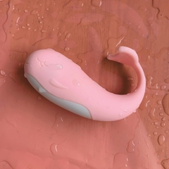 Trứng Rung Cá Voi Little Whale