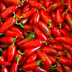 Copy of SPICE SSN - PREMIX: GARLIC, ONION, SHALLOT, FIVESPICE, PEPPER
