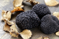 TRUFFLE SSN