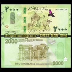 2000 pounds Sudan 2026