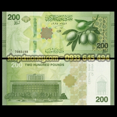 200 pounds Syria 2026