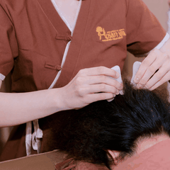 Liệu Pháp Thải Độc Não Bộ