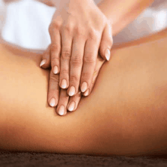Combo dưỡng sinh bổ thận - thần kinh tọa